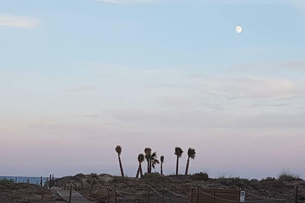 شقة كانيت ذي بيرينغير  في Vacaciones Canet Playa المظهر الخارجي الصورة